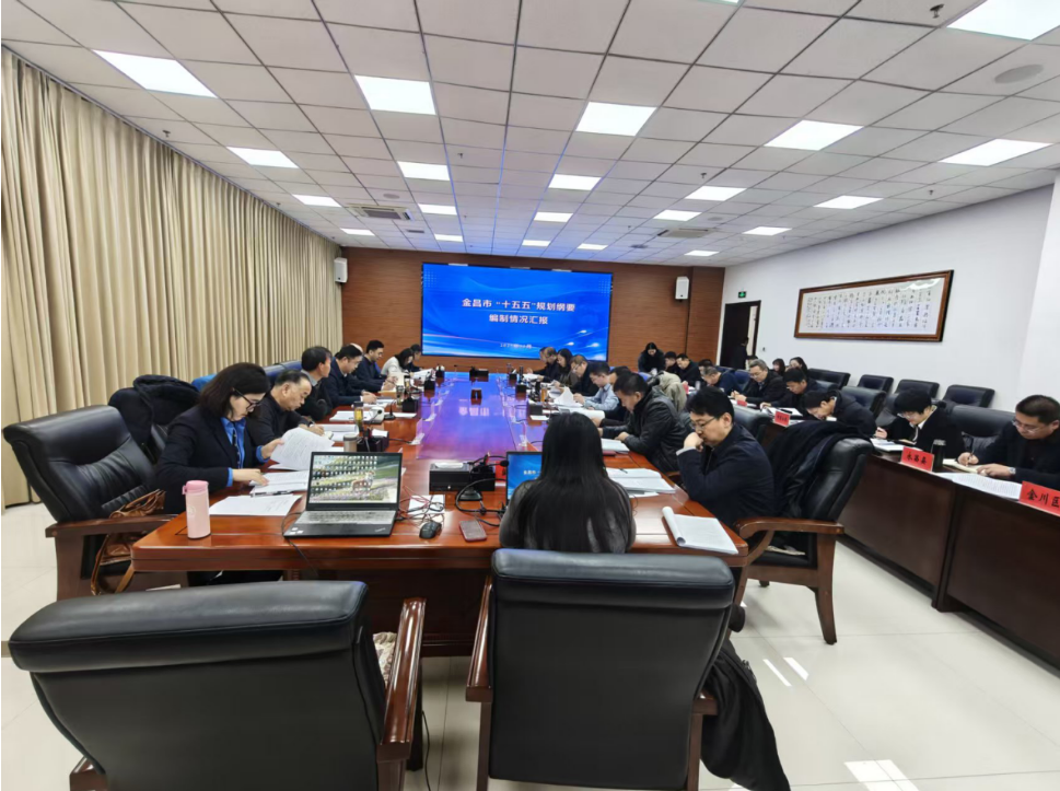 金昌市“十五五”規(guī)劃綱要草案 專(zhuān)家評(píng)審會(huì)順利召開(kāi)